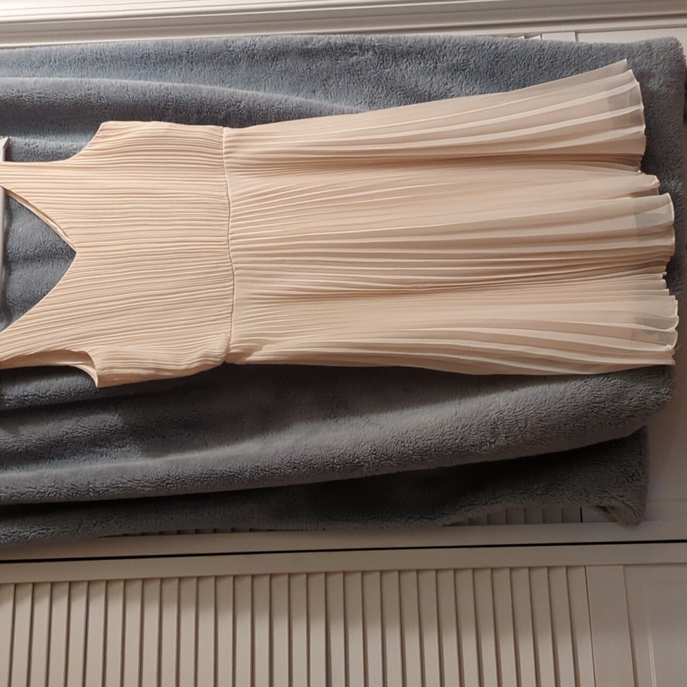 BICE Pleated Dress